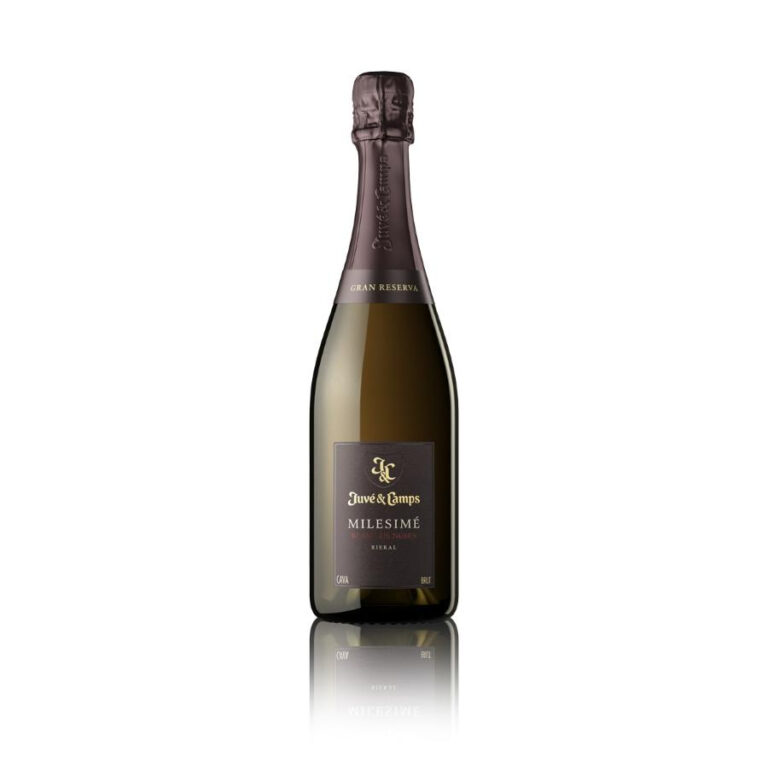 Bottle of Juve y Camps Milésimé Blanc de Noirs Gran Reserva Spanish cava