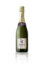 Bottle of Juve y Camps Essential Púrpura Brut Spanish sparkling wine