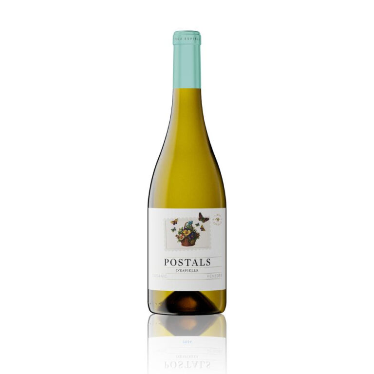 Bottle of Juvé y Camps Postals Blanco white wine on white background